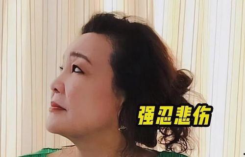孟贺最新爆料消息视频,揭秘视频背后的惊人真相